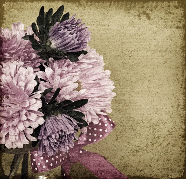 Asters on old background — Stock Photo, Image